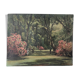 J.Ryck oil painting on cardboard
