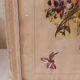 Old painting, gouache on paper, floral composition with pansies, framed under glass