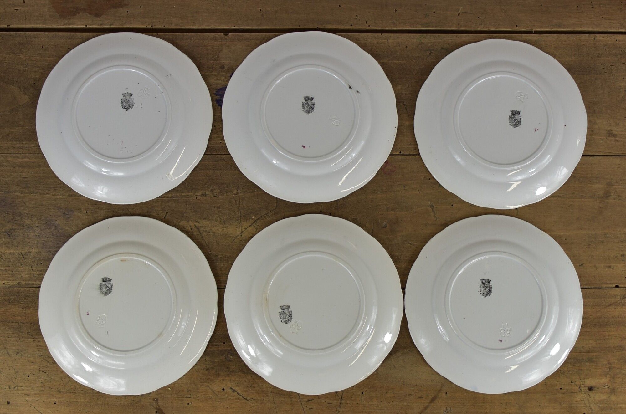 Set of 6 souvenir plates of Lourdes Digoin & Sarreguemines
