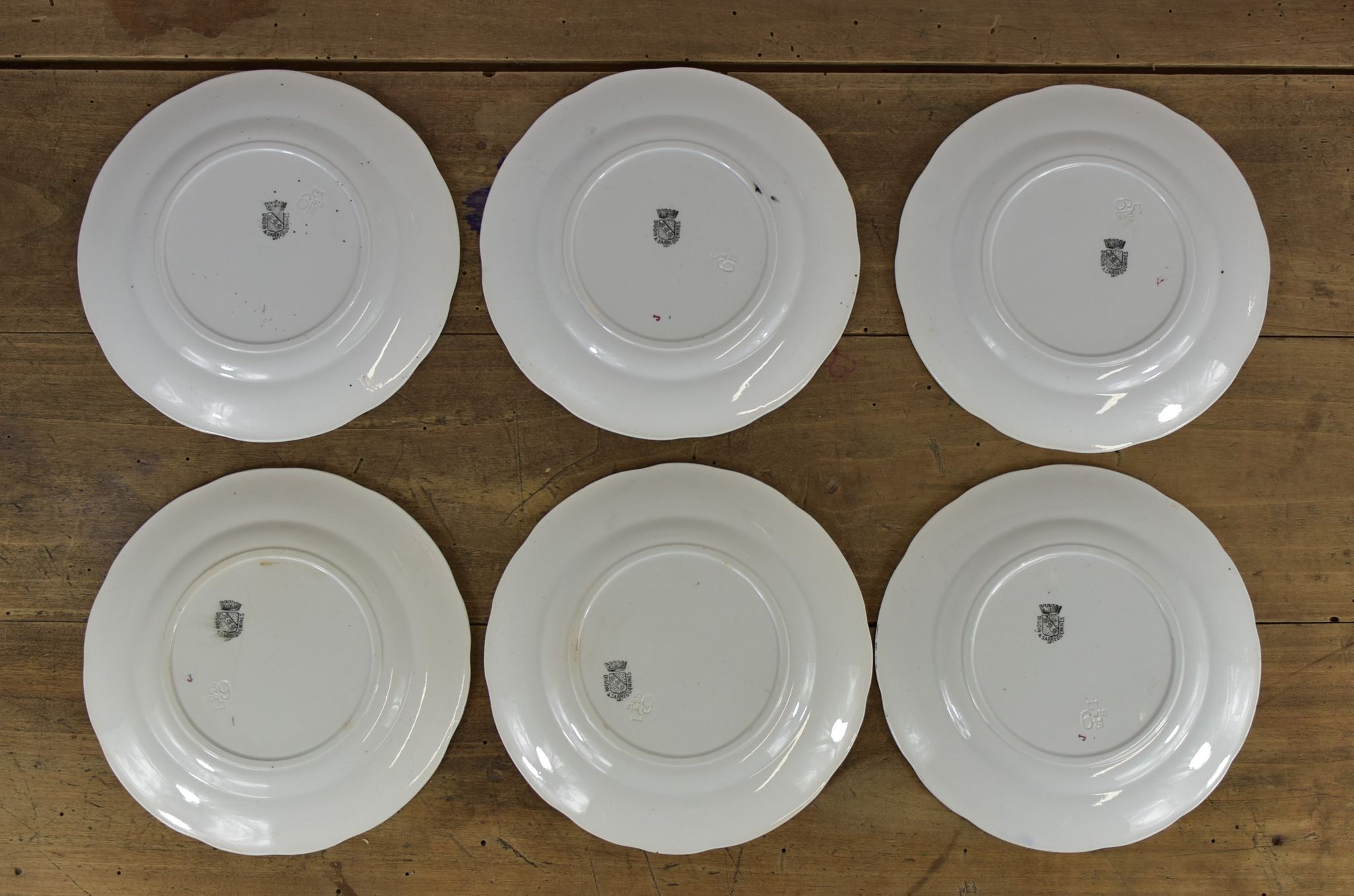 Set of 6 souvenir plates of Lourdes Digoin & Sarreguemines