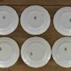 Set of 6 souvenir plates of Lourdes Digoin & Sarreguemines