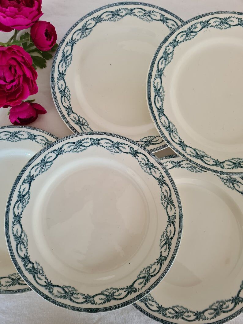 Old flat plates in "Recamier" model iron earth from the French salin factory