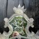 Venetian mirror in colorless Murano glass, circa 1940