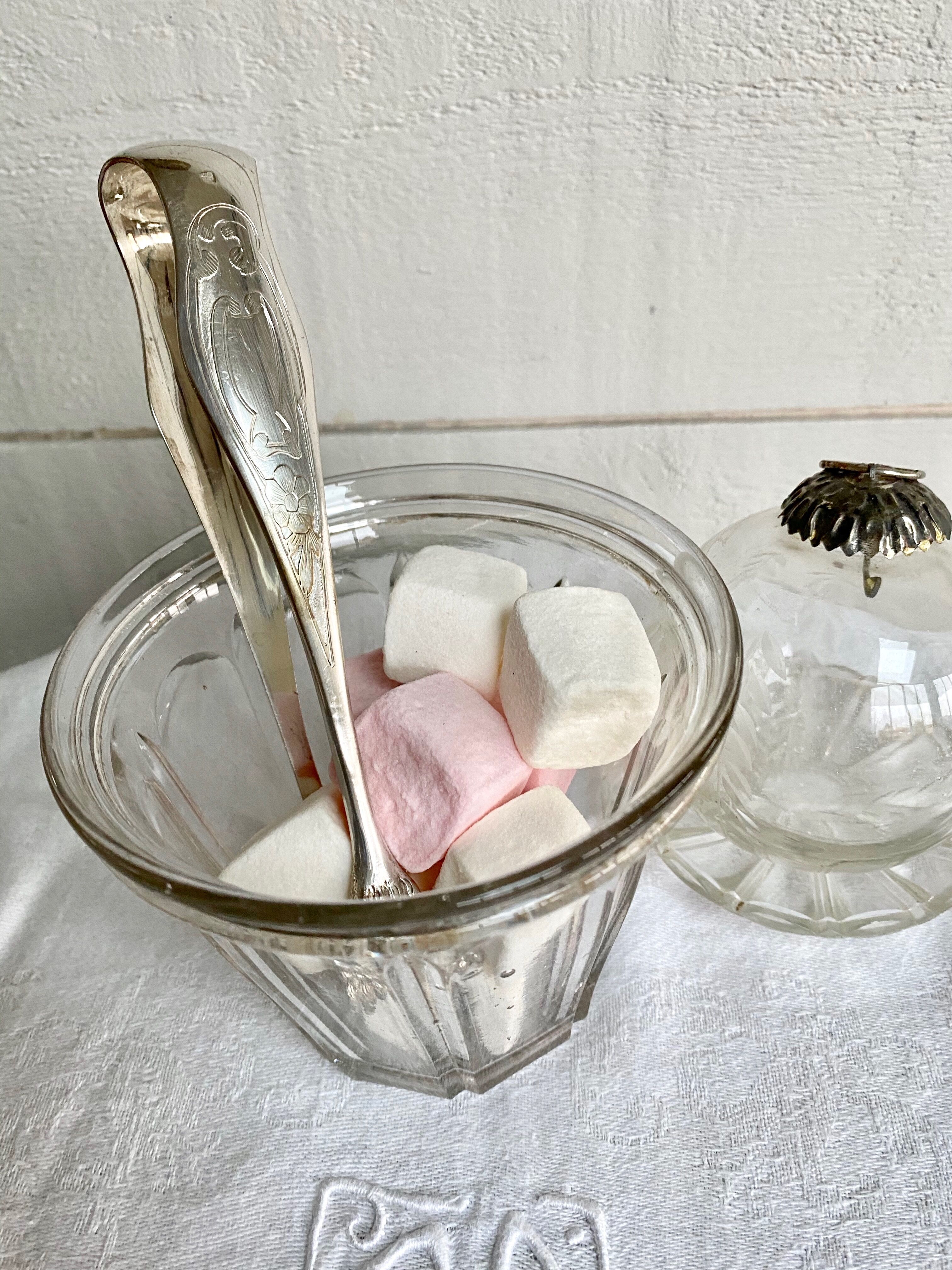 Sugar clamp lion's feet Art Nouveau