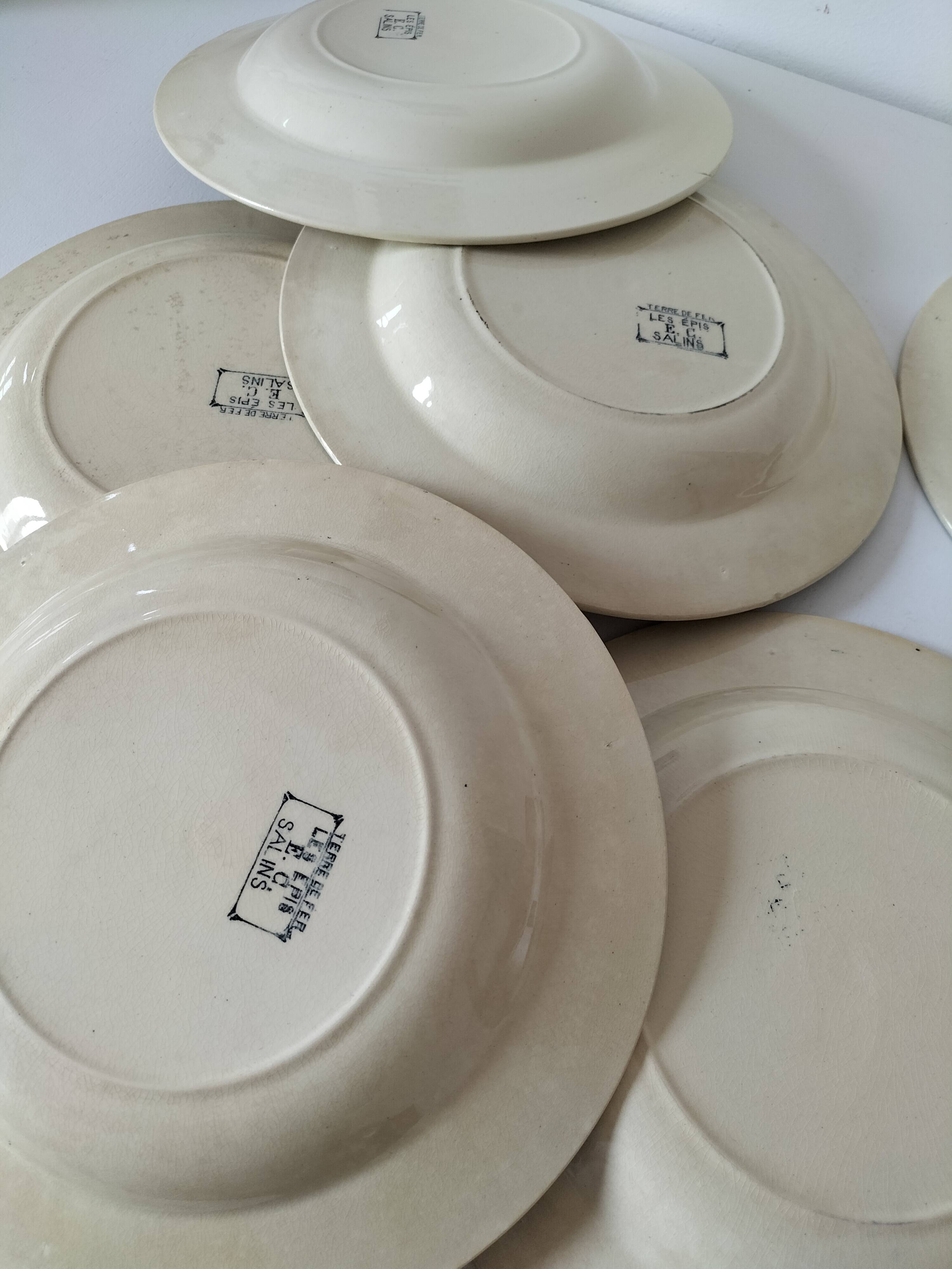 6 old E.C. Salins “Les Épis” ironstone soup plates