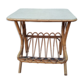 Sellette wears bamboo magazine
