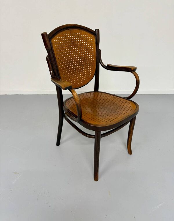 Fauteuil Art Nouveau modèle 1059 Michael Thonet, 1920