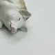 Vintage mustard pot in porcelain shaped like a pig.
