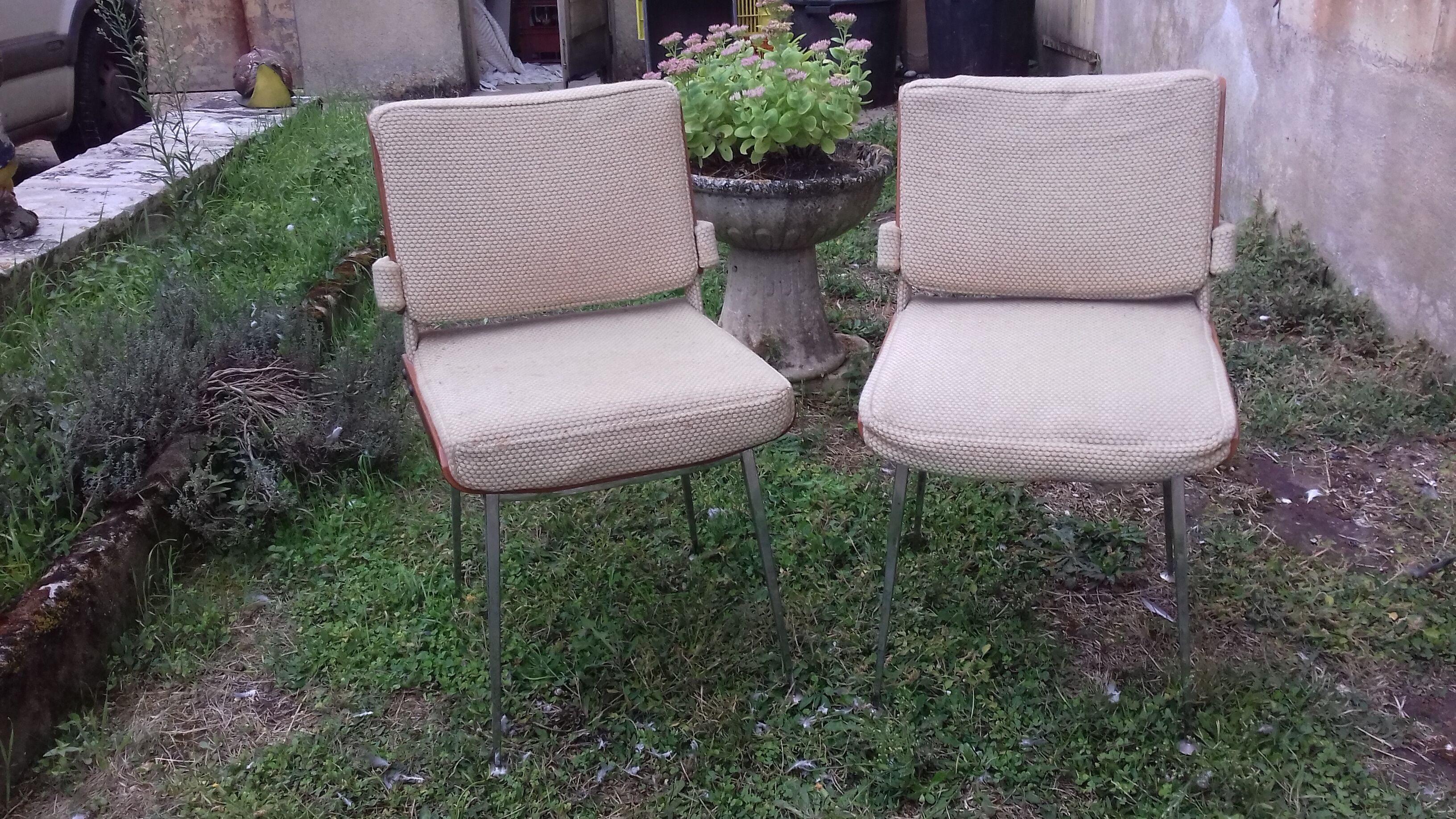 Pair of chairs 70 years
