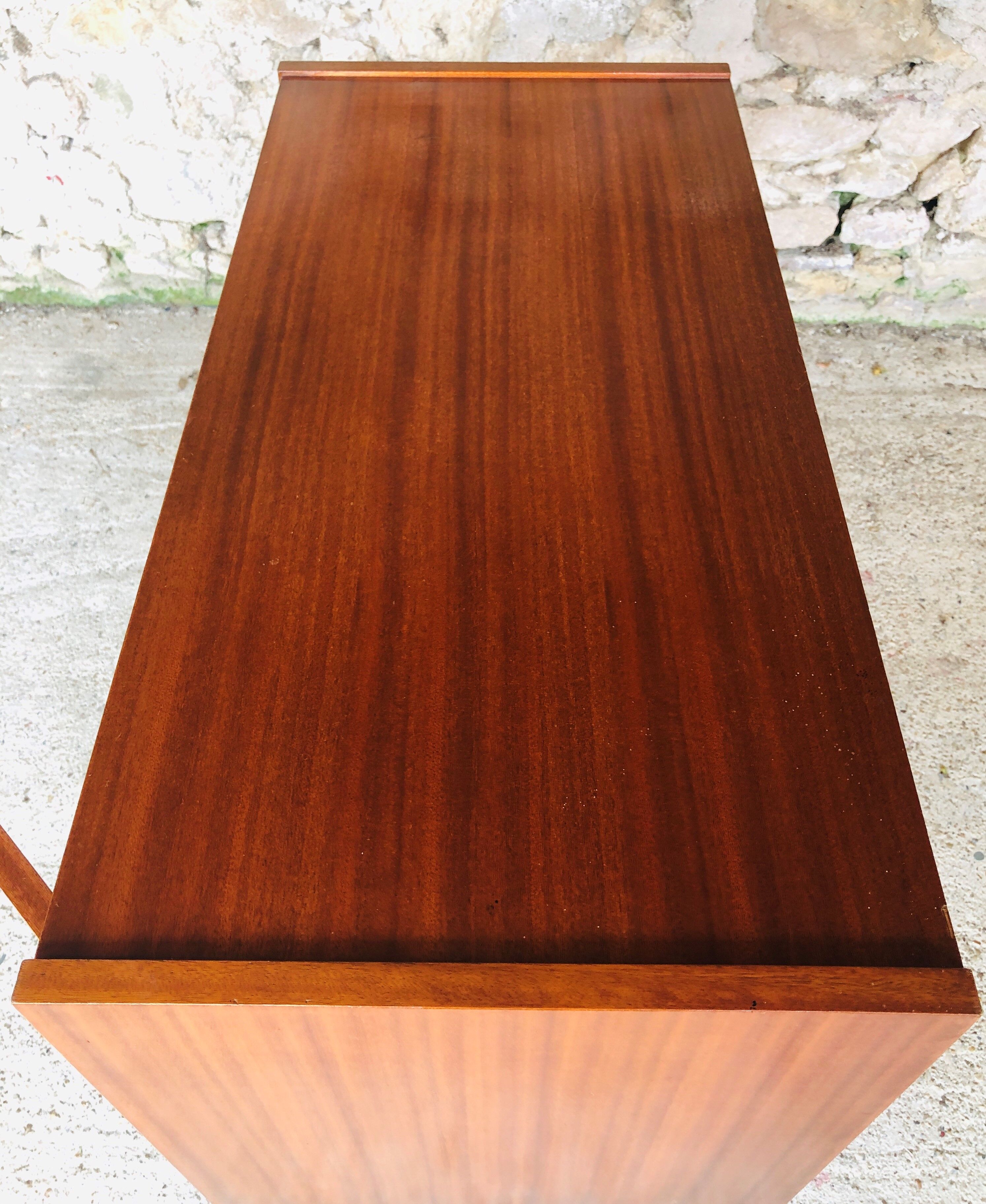 Vintage storage furniture has two doors 60/70