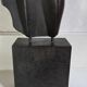 Bronze sculpture - Female nude of the 20th century