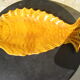 Fish dish Vallauris