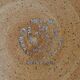 6 stoneware dinner plates