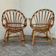 Paire de fauteuils coquille vintage 1950