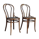 Pair of chairs Thonet n°18