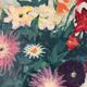 Bouquet of flowers, oil on canvas signed Robert Rodrigue