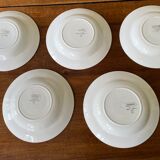 Hollow plates Digoin model Mauritius