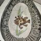 Ceramic fish shell cup 1950s Vallauris