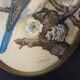 Paire de gravures encadrées oiseaux vintage