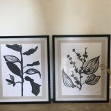 Diptych illustration plants caly
