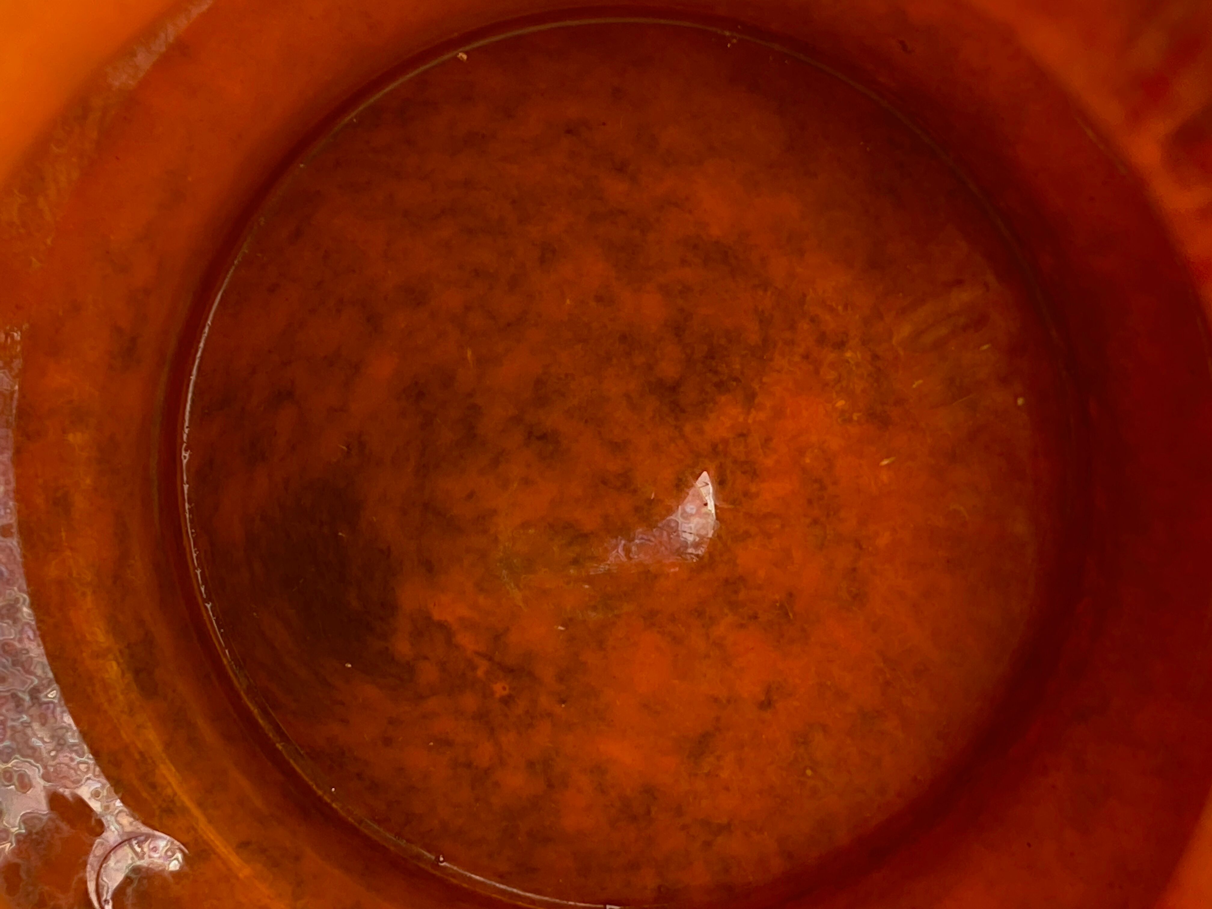 Large art-deco vase le lorrain glassware Daum Nancy 1925