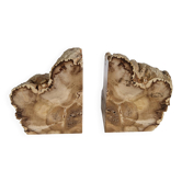 Pair of petrified wood bookends
