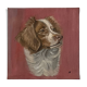 Portrait of a Brittany Spaniel