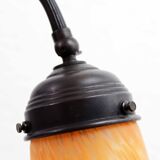 Gooseneck lamp with Vianne glass paste tulip