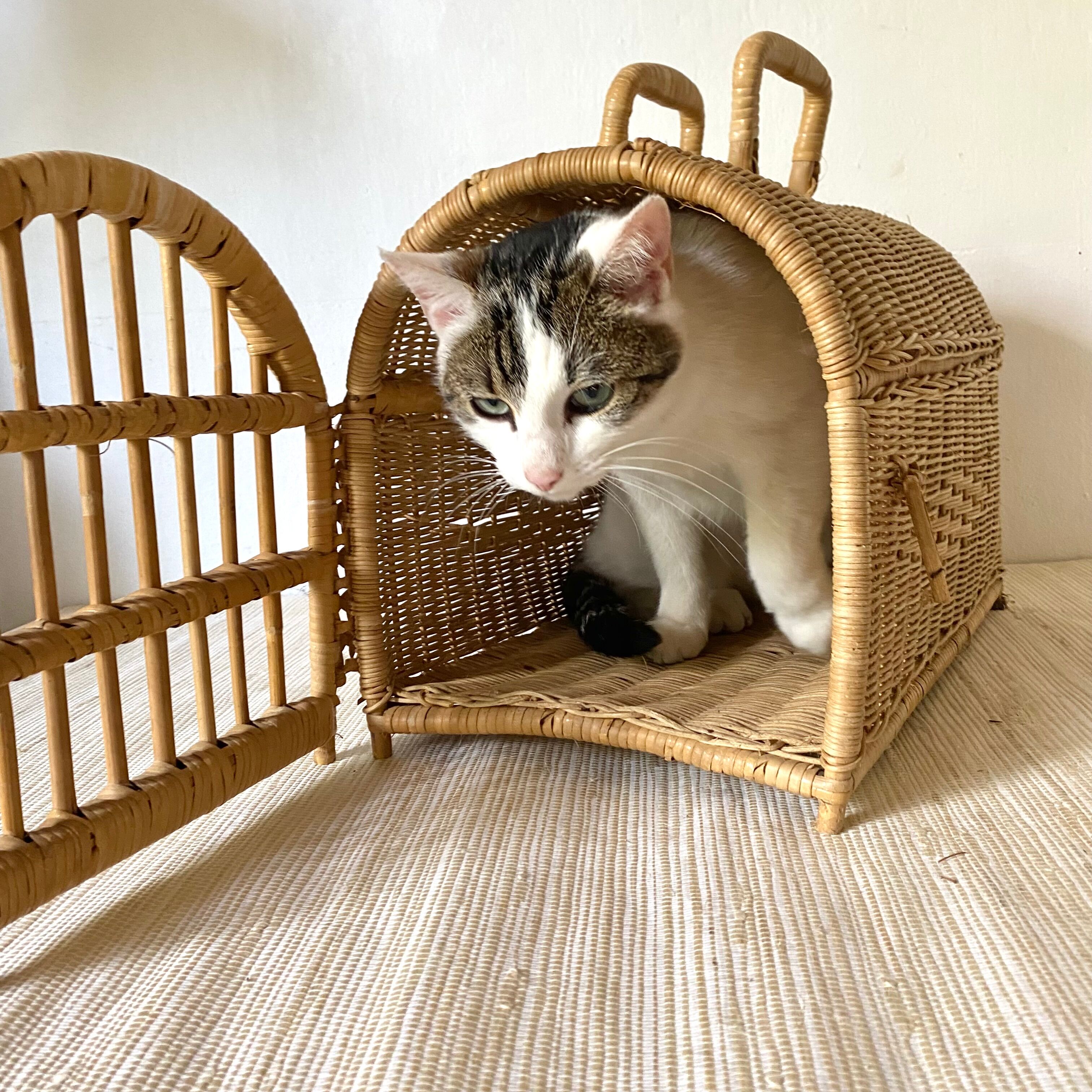 Rattan cat transport basket