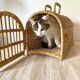 Rattan cat transport basket