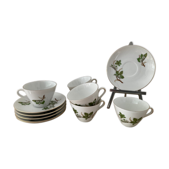 Vintage porcelain herbarium service 6 cups with plates