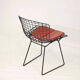 Vintage Bertoia Chair
