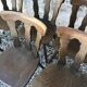 Lot of 6 chairs vintage bistro compass feet