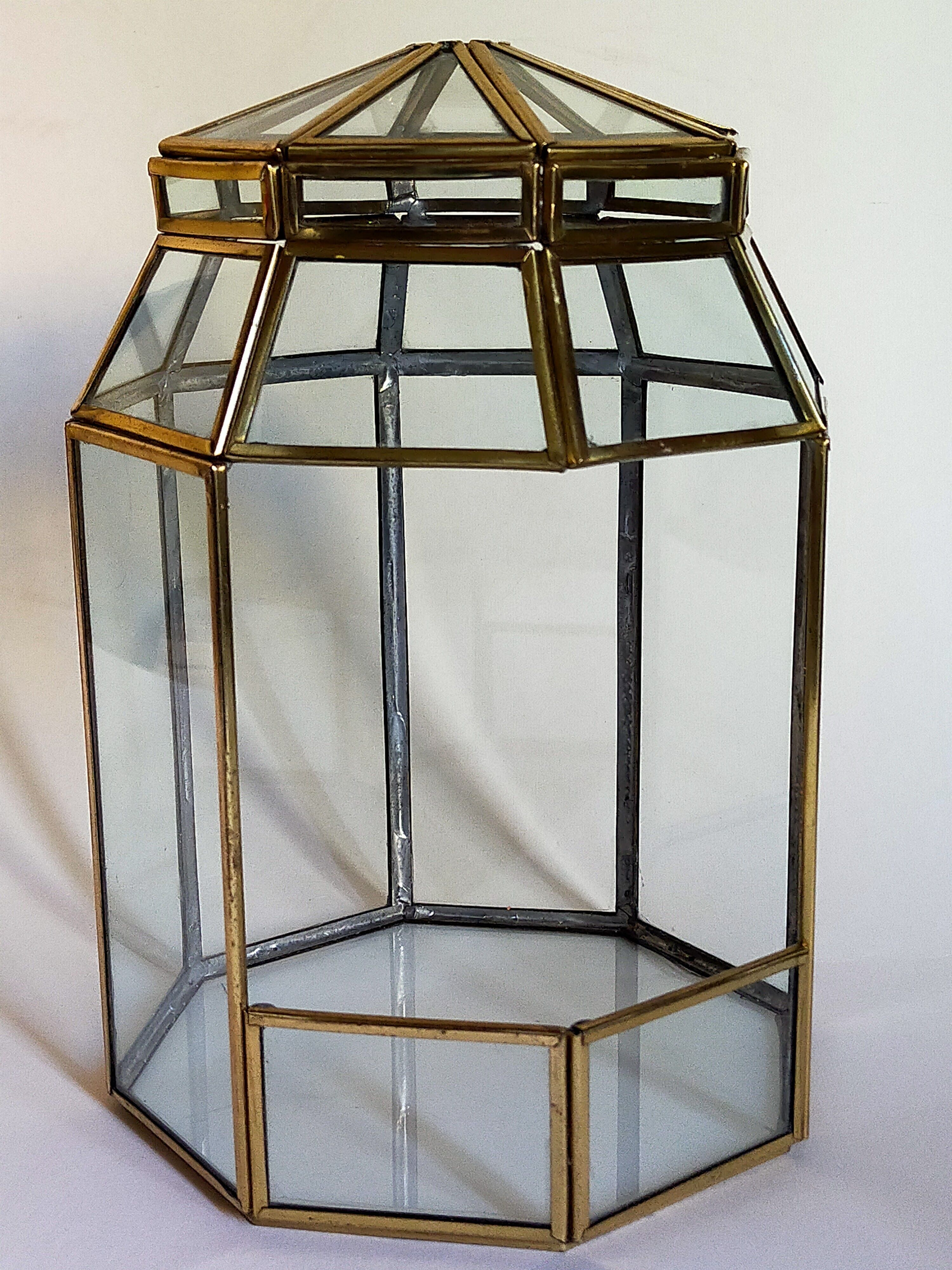 Indoor greenhouse-terrarium in brass