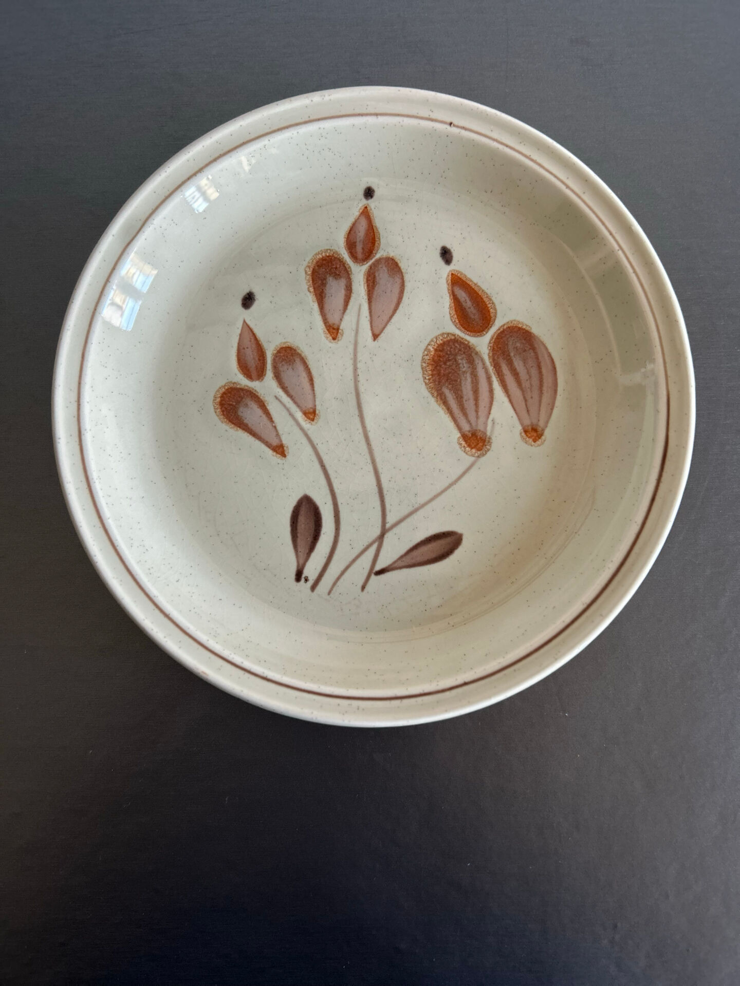 Assiettes en grès mat