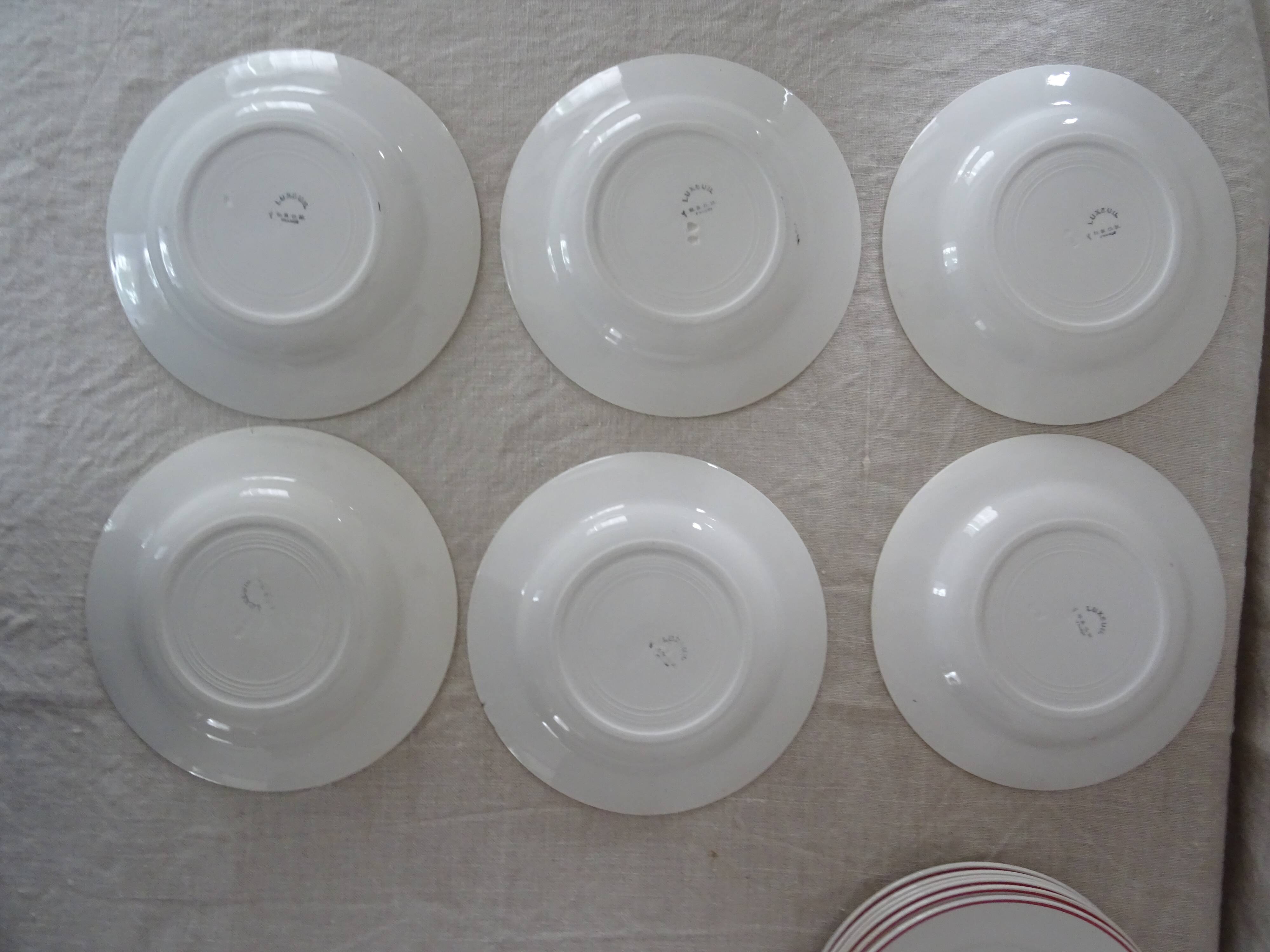 12 plates old flat and hollow HBCM Creil Montereau Luxeuil carnations
