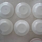 12 plates old flat and hollow HBCM Creil Montereau Luxeuil carnations