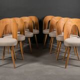 Set of 8 dining chairs by A. Šuman, 1960s