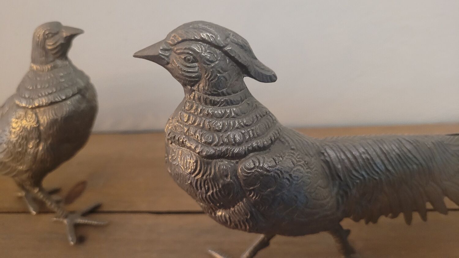 Couple of pheasant roosters