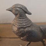 Couple of pheasant roosters