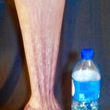 Vase 48 cm décor de papyrus le verre français - charder - schneider