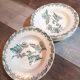 Plates x6 St Amand iron earth 1900s