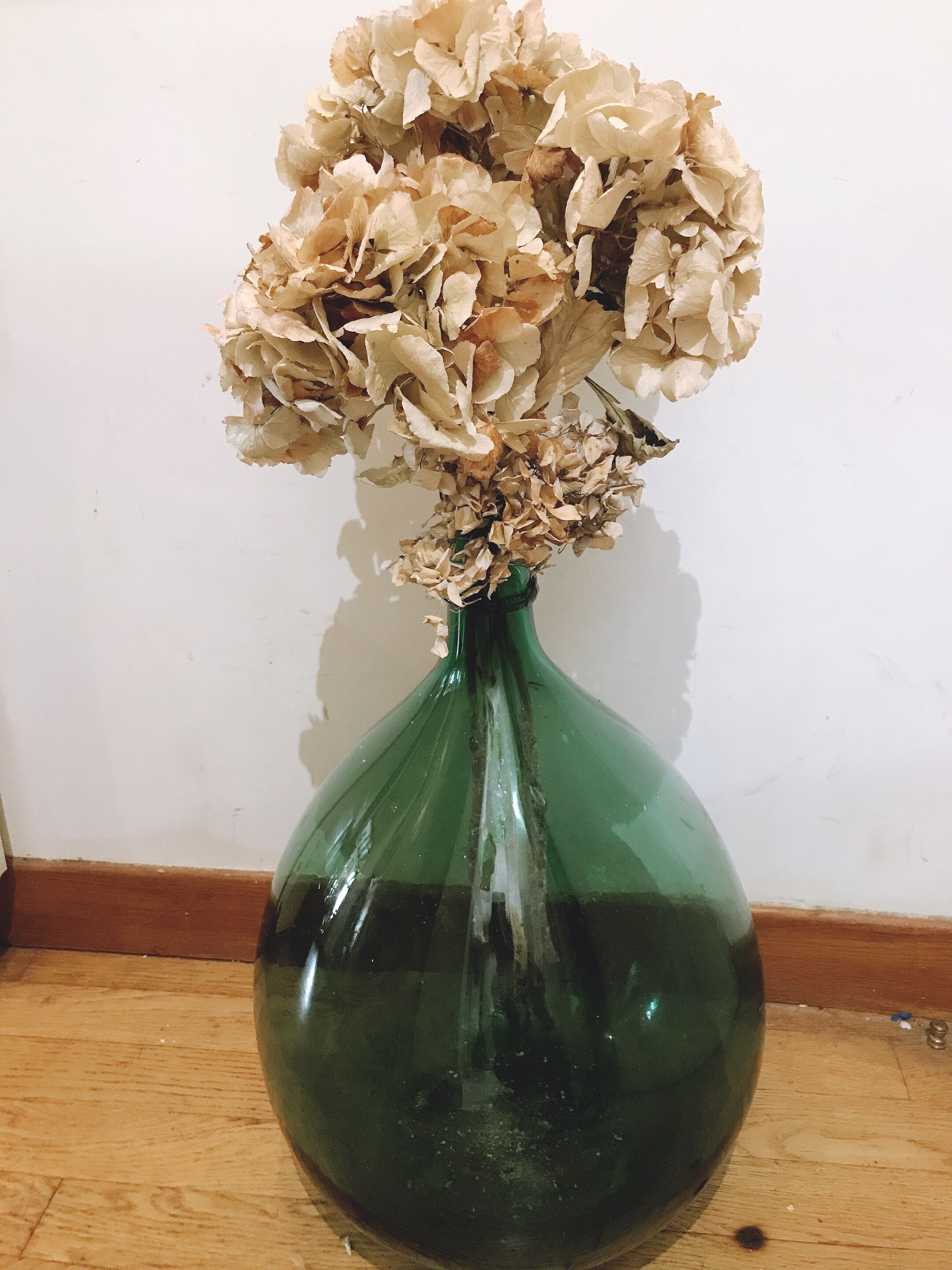 Dame Jeanne vert 40L