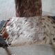 Chair / tripod stool wood and skin . Vintage 50/60
