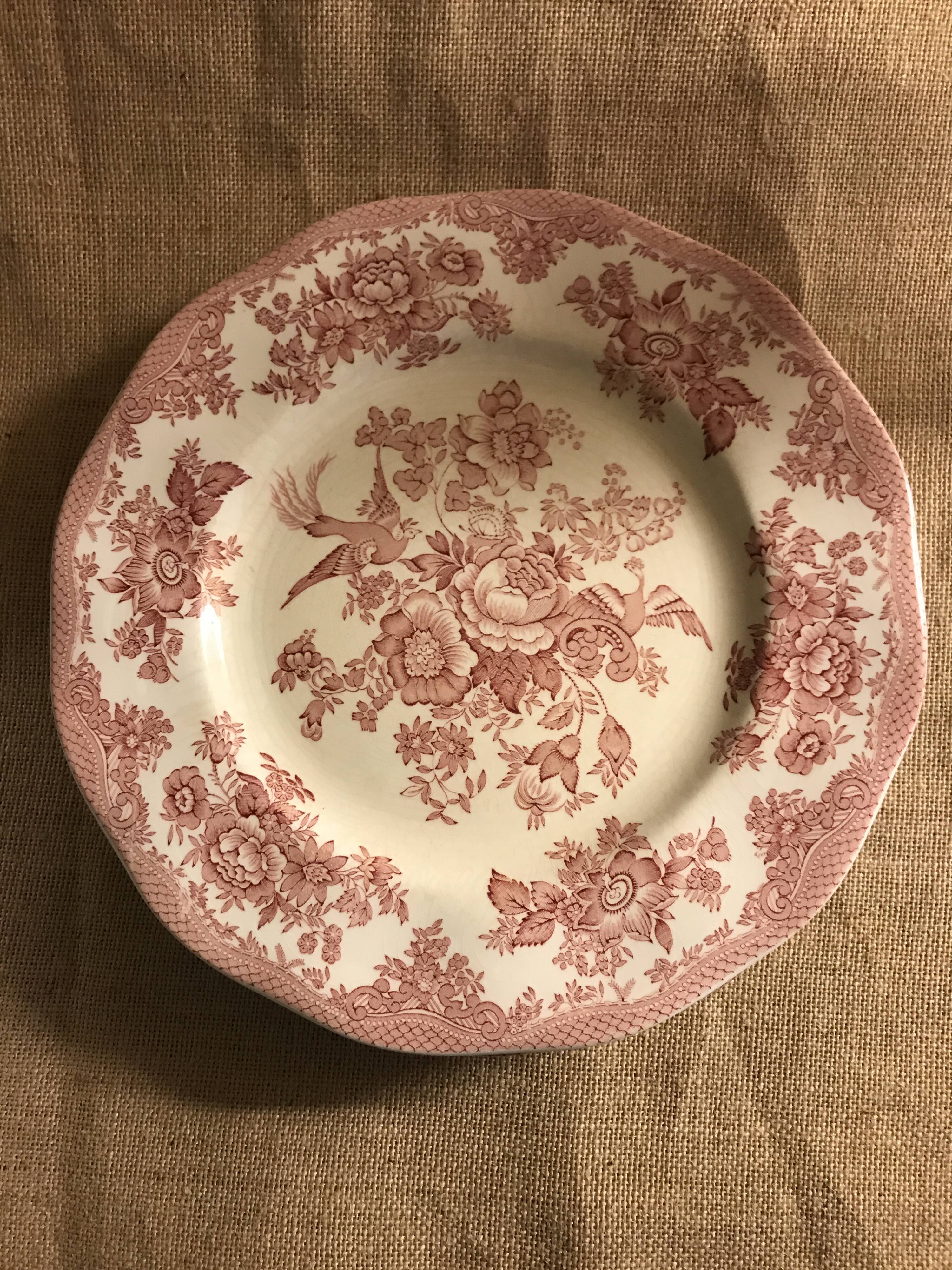 Lot of 6 flat plates wedgwood model pheasant pink Asian pheasant
