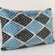 Cushion
