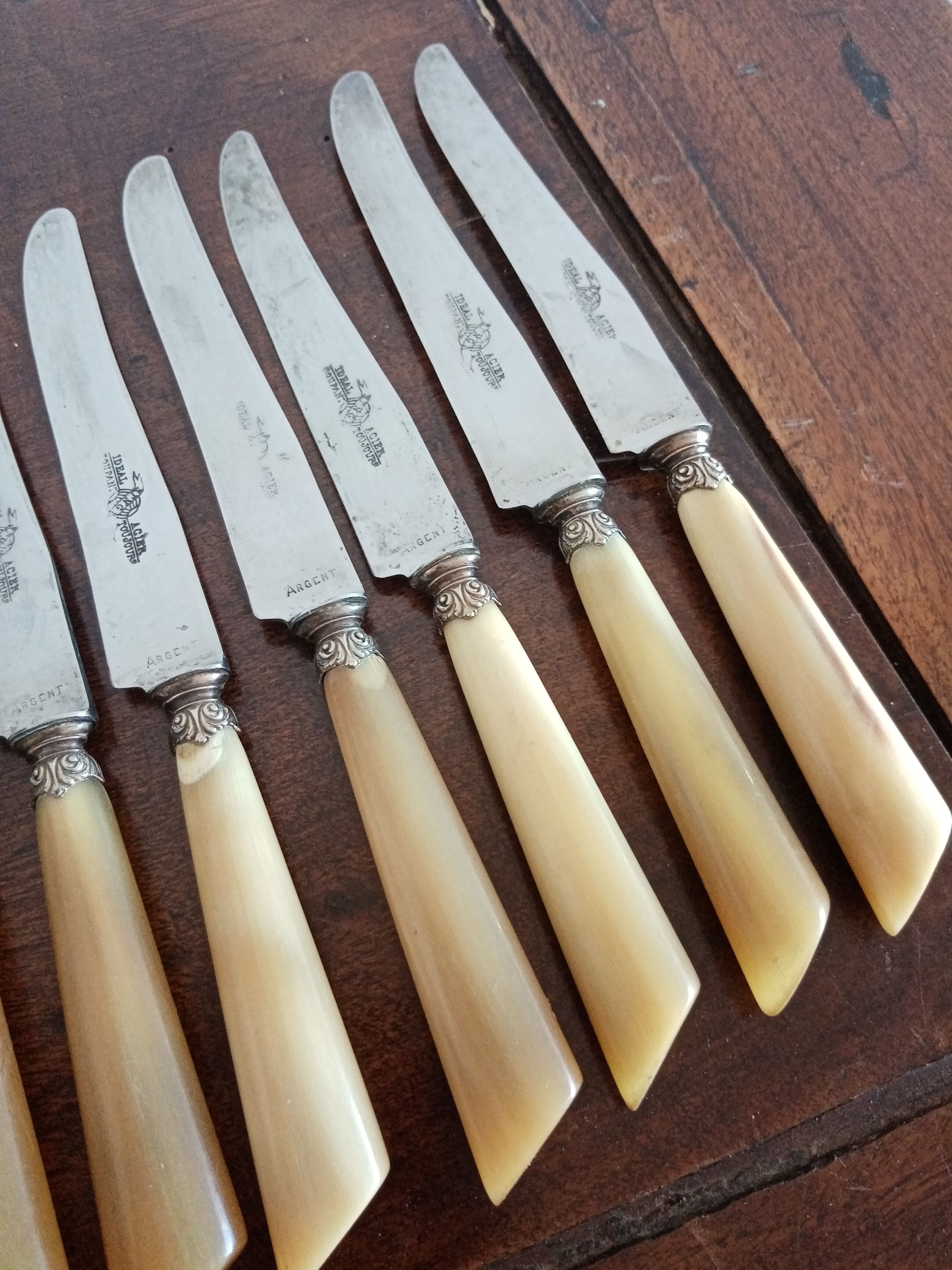 Suite 12 cheese knives dessert nineteenth horn handle