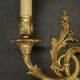Large pair of wall sconces in Rocaille / Rococo / Baroque style - gilded bronze