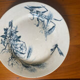Plates