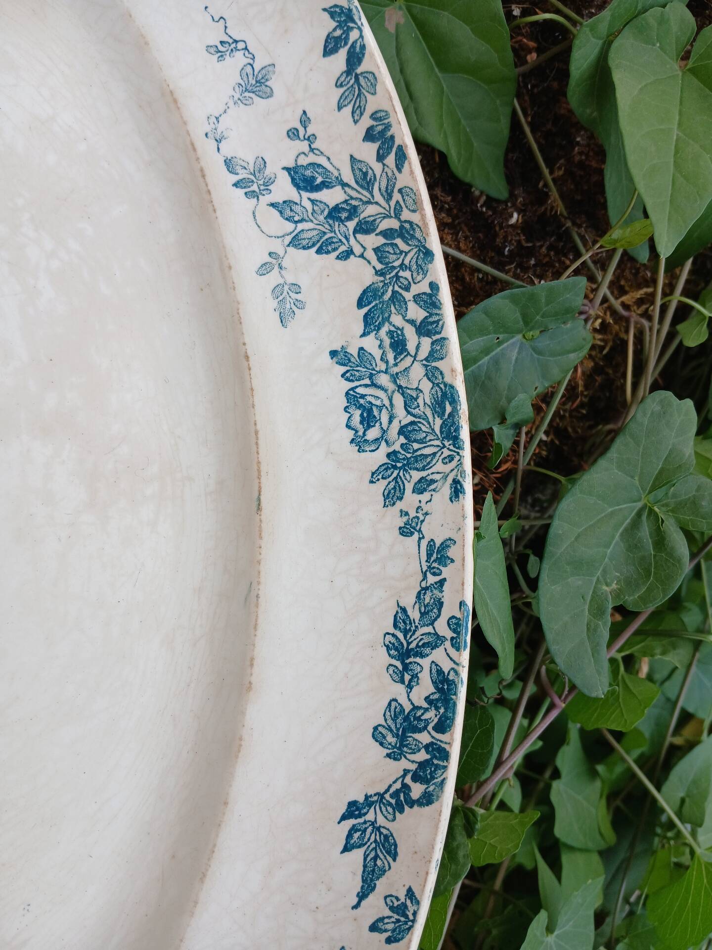 Old plate in Creil and Montereau ironstone